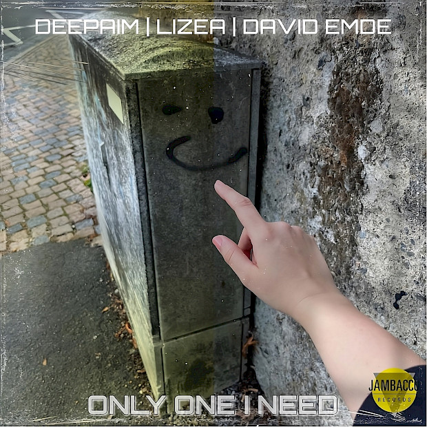 DEEPAIM x LIZEA ft. David Emde - Only One I Need
