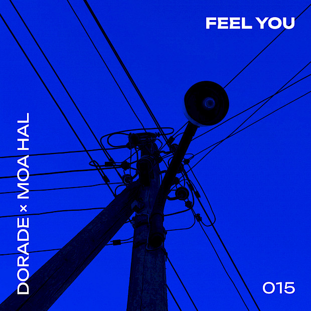 Dorade & MOA HAL - Feel You